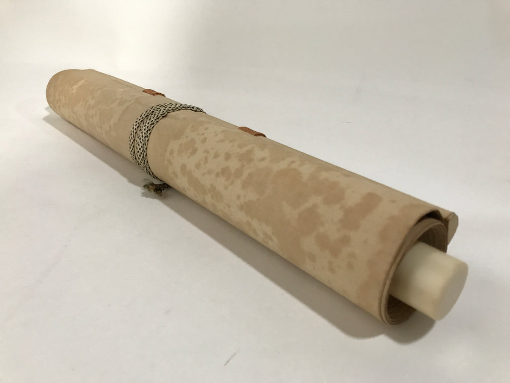 Japanese Boxed Hanging Scroll Vtg Morning Sun Calm Waves Kakejiku KJ31