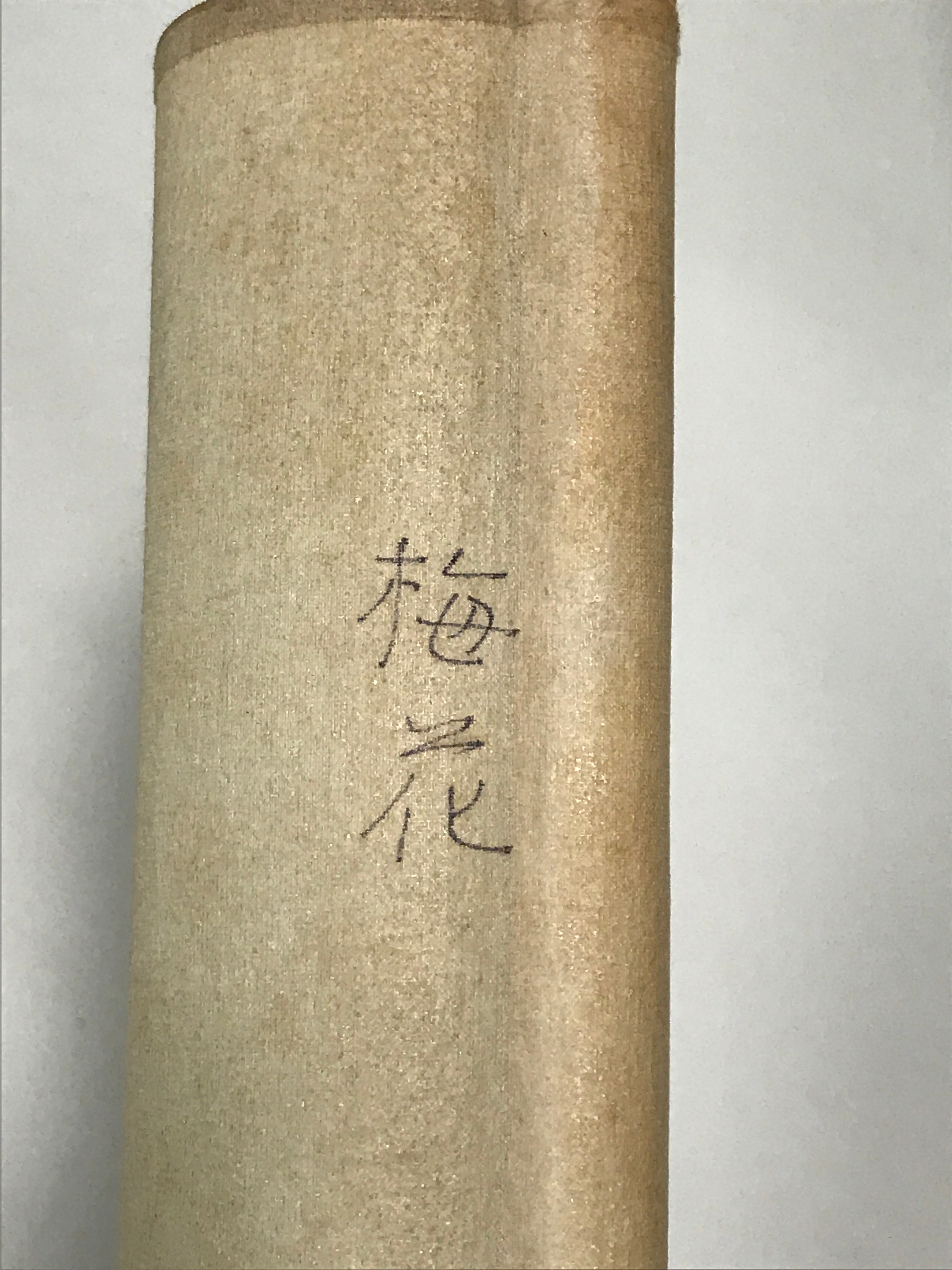 Japanese Boxed Hanging Scroll Vtg Plum Tree Ume Bamboo Bird Kakejiku KJ40