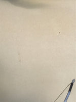 Japanese Boxed Hanging Scroll Vtg Samurai Horse Mount Fuji Color Kakejiku KJ38