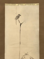 Japanese Boxed Hanging Scroll Vtg Shrike In A Barren Tree Miyamoto Musashi SC953