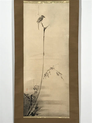 Japanese Boxed Hanging Scroll Vtg Shrike In A Barren Tree Miyamoto Musashi SC953