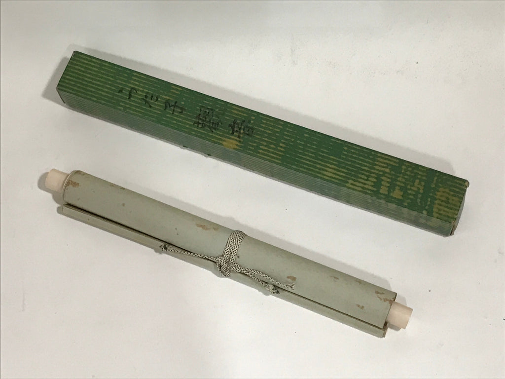 Japanese Boxed Hanging Scroll Vtg Standing Kannon Buddhist Kakejiku SC957