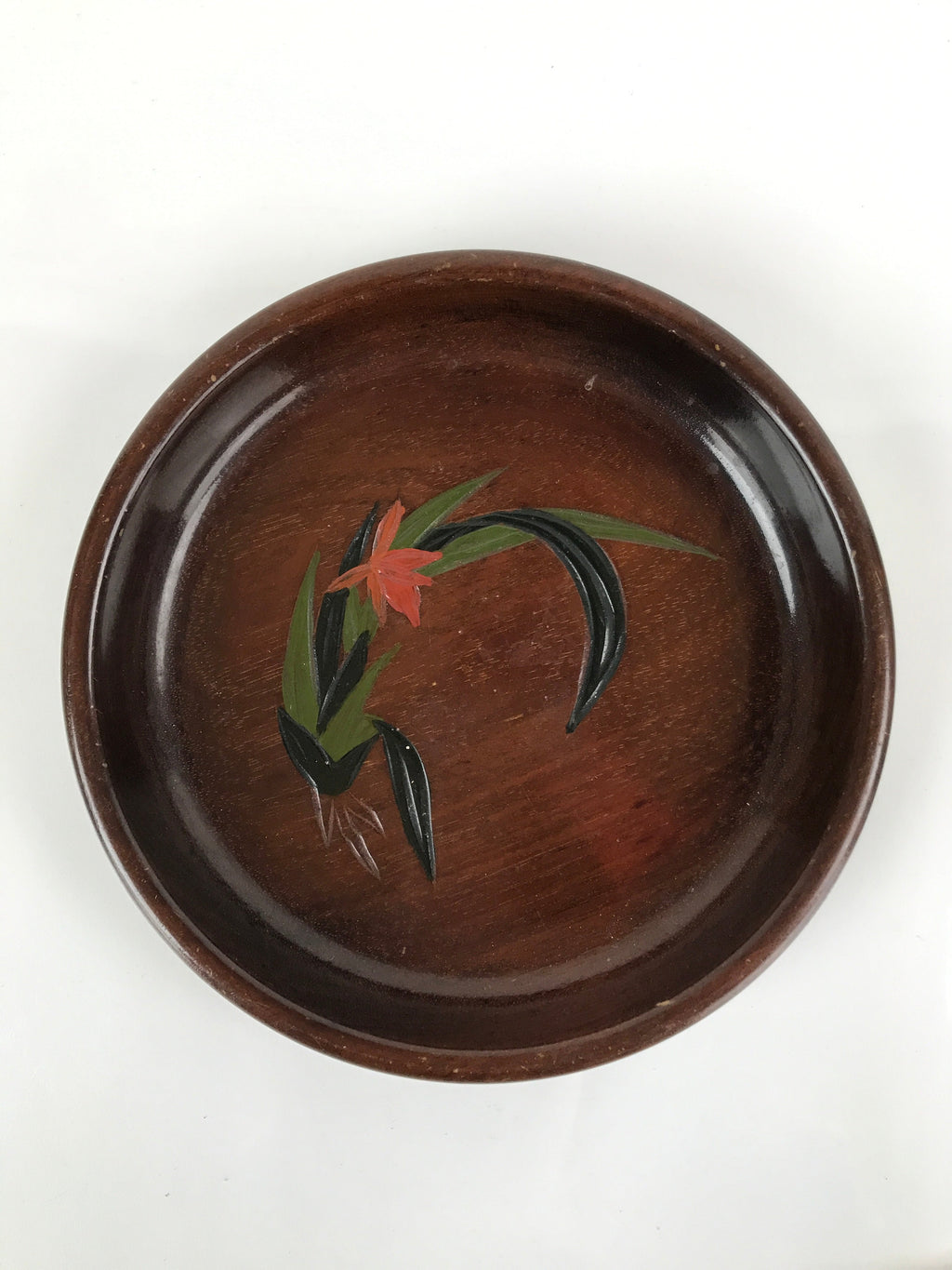 Japanese Brushed Lacquer Wooden Serving Tray Vtg Round Obon Plants Green L139