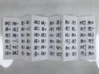 Japanese Buddhist Accordion Book Vtg Butsuzen Gongyo Shidai Vtg Paper Red BA515