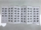 Japanese Buddhist Accordion Book Vtg Butsuzen Gongyo Shidai Vtg Paper Red BA515