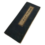 Japanese Buddhist Accordion Book Vtg Shingon-shu Heart Sutra Paper BA511