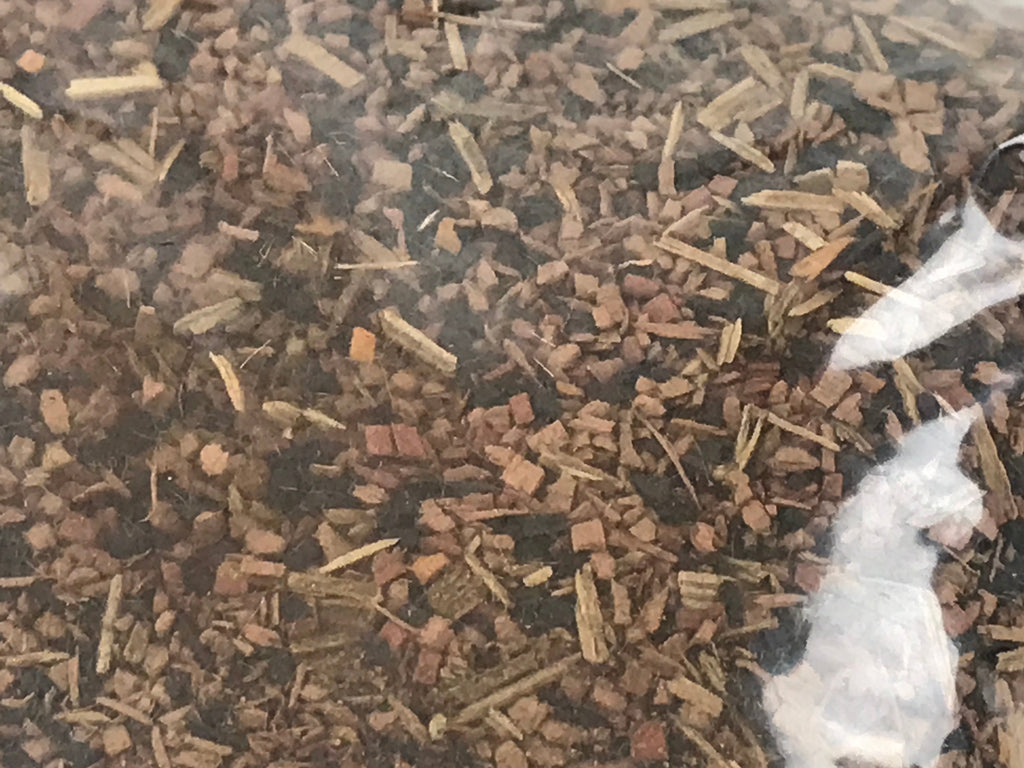 Japanese Buddhist Offer Incense Shoko Burning Incense Vtg Wood Chips W/ Box IN15
