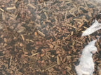 Japanese Buddhist Offer Incense Shoko Burning Incense Vtg Wood Chips W/ Box IN15