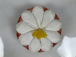 Japanese Buddhist Orin Bell Singing Bowl Fabric Pillow Floral Orange White BA888