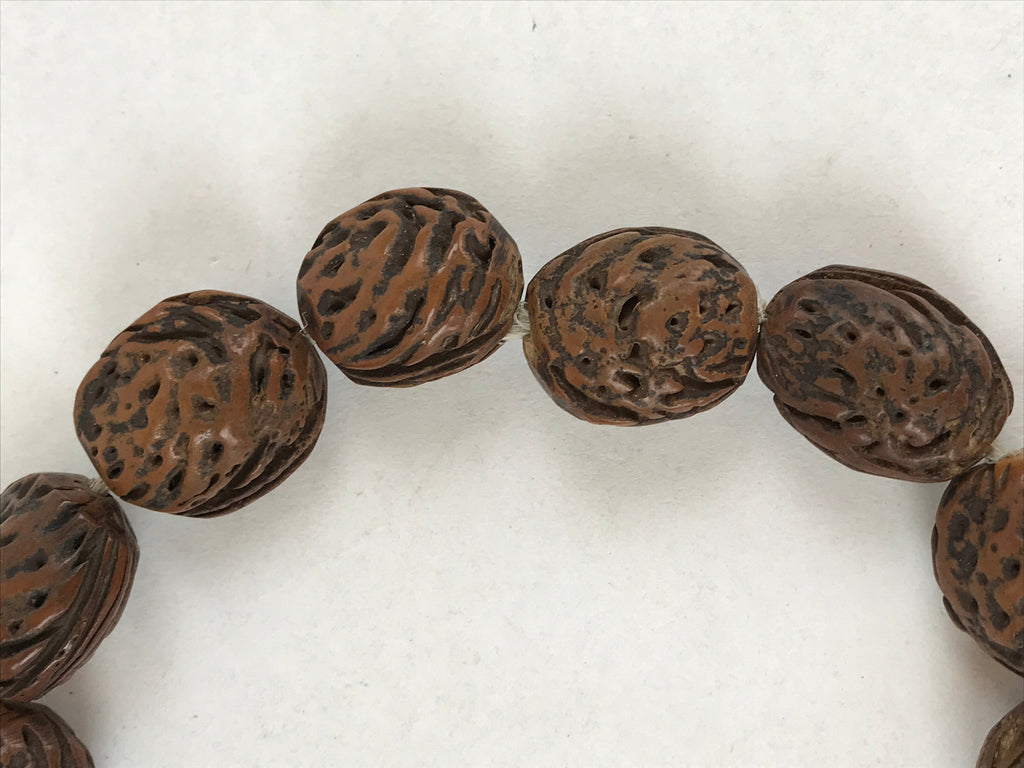 Japanese Buddhist Prayer Juzu Beads Fruit Kernel Vtg Rosary Bracelet Brown JZ126