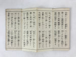 Japanese Buddhist Sutra Accordion Book Vtg Paper Green Sanzeanjinmon BA122