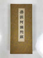 Japanese Buddhist Sutra Explanation Book Vtg Hotokenotokitamaheru Amidakyo BA628