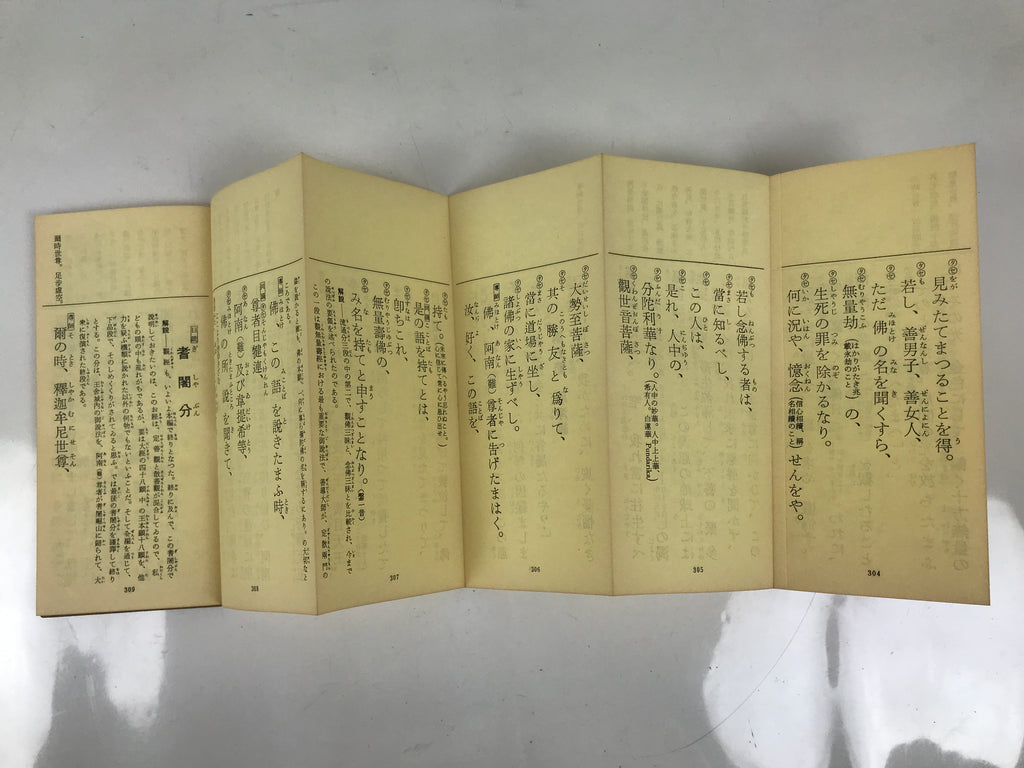 Japanese Buddhist Sutra Explanation Book Vtg Kanmuryojukyo BA629