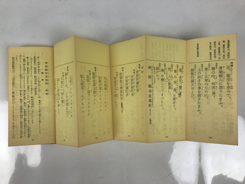Japanese Buddhist Sutra Explanation Book Vtg Kanmuryojukyo BA629