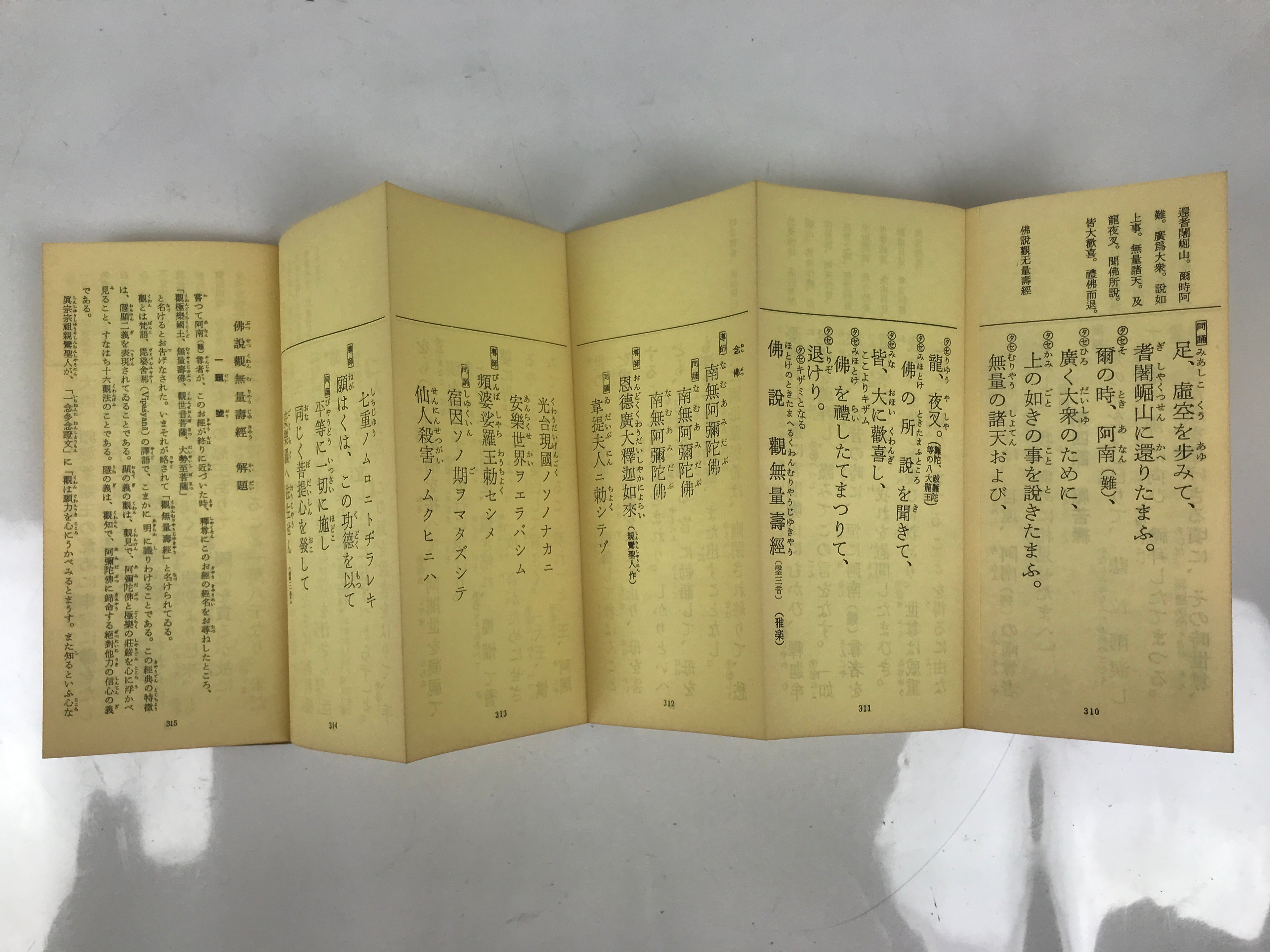 Japanese Buddhist Sutra Explanation Book Vtg Kanmuryojukyo BA629