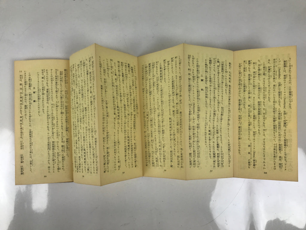 Japanese Buddhist Sutra Explanation Book Vtg Kanmuryojukyo BA629