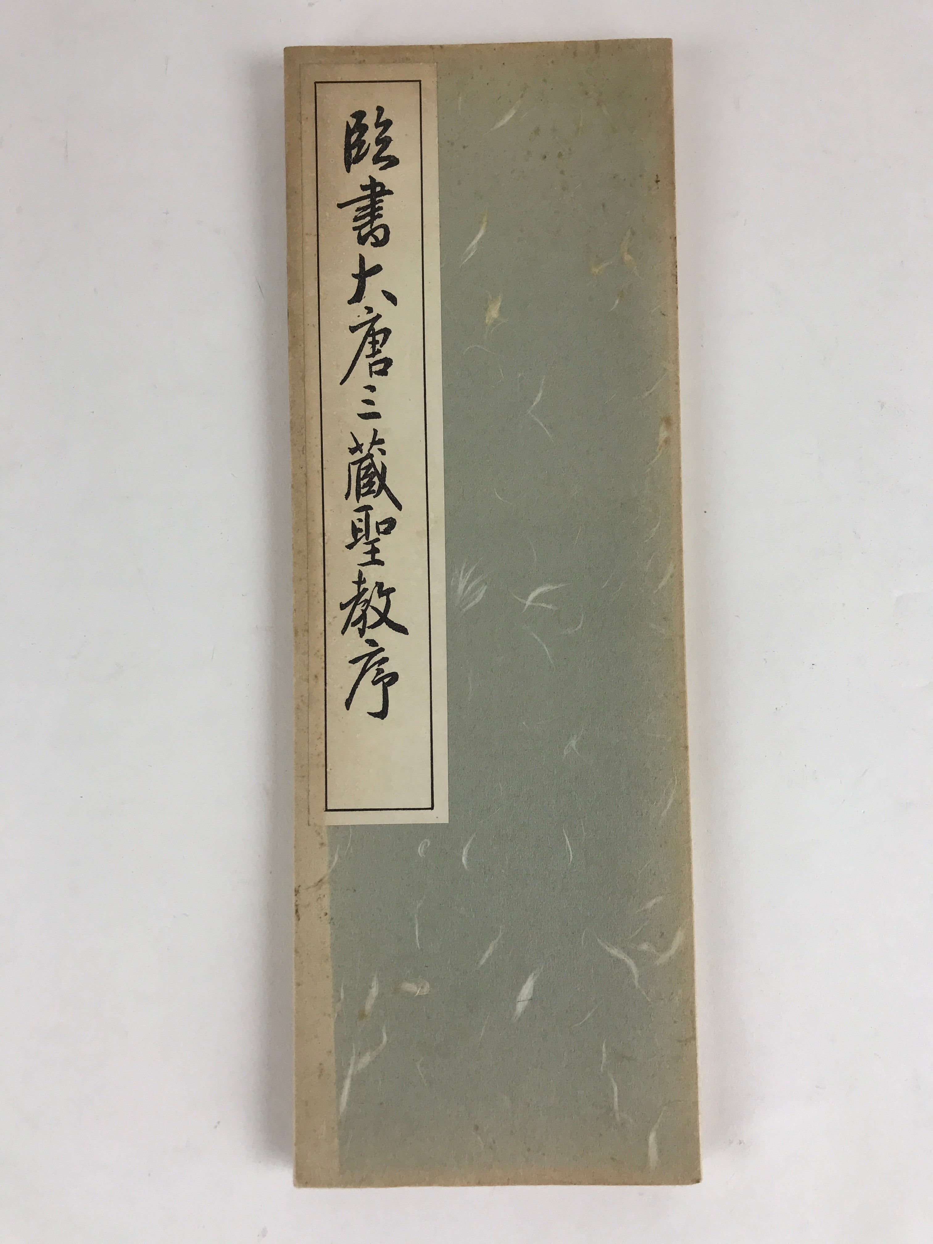 Japanese Calligraphy Reisho Rinsho Daitosanzoshogyojo Vtg Copy Book Tehon P337