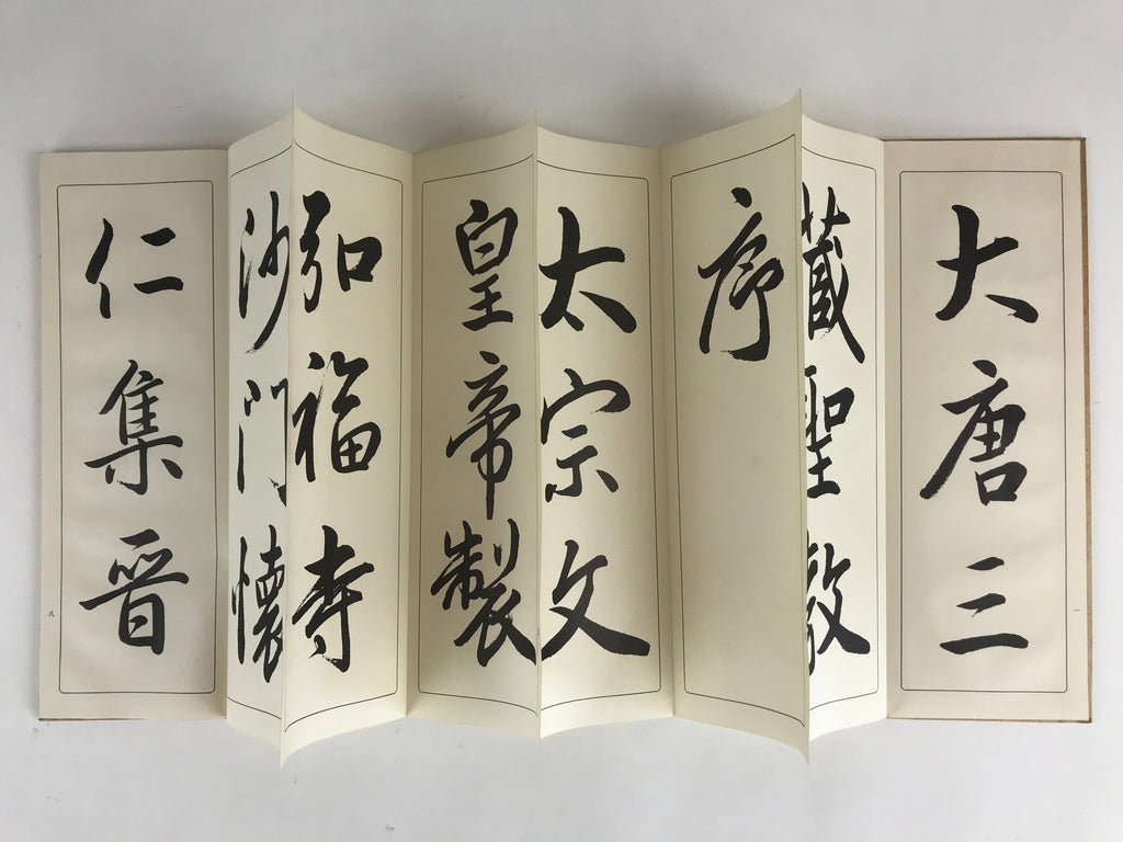 Japanese Calligraphy Reisho Rinsho Daitosanzoshogyojo Vtg Copy Book Tehon P337
