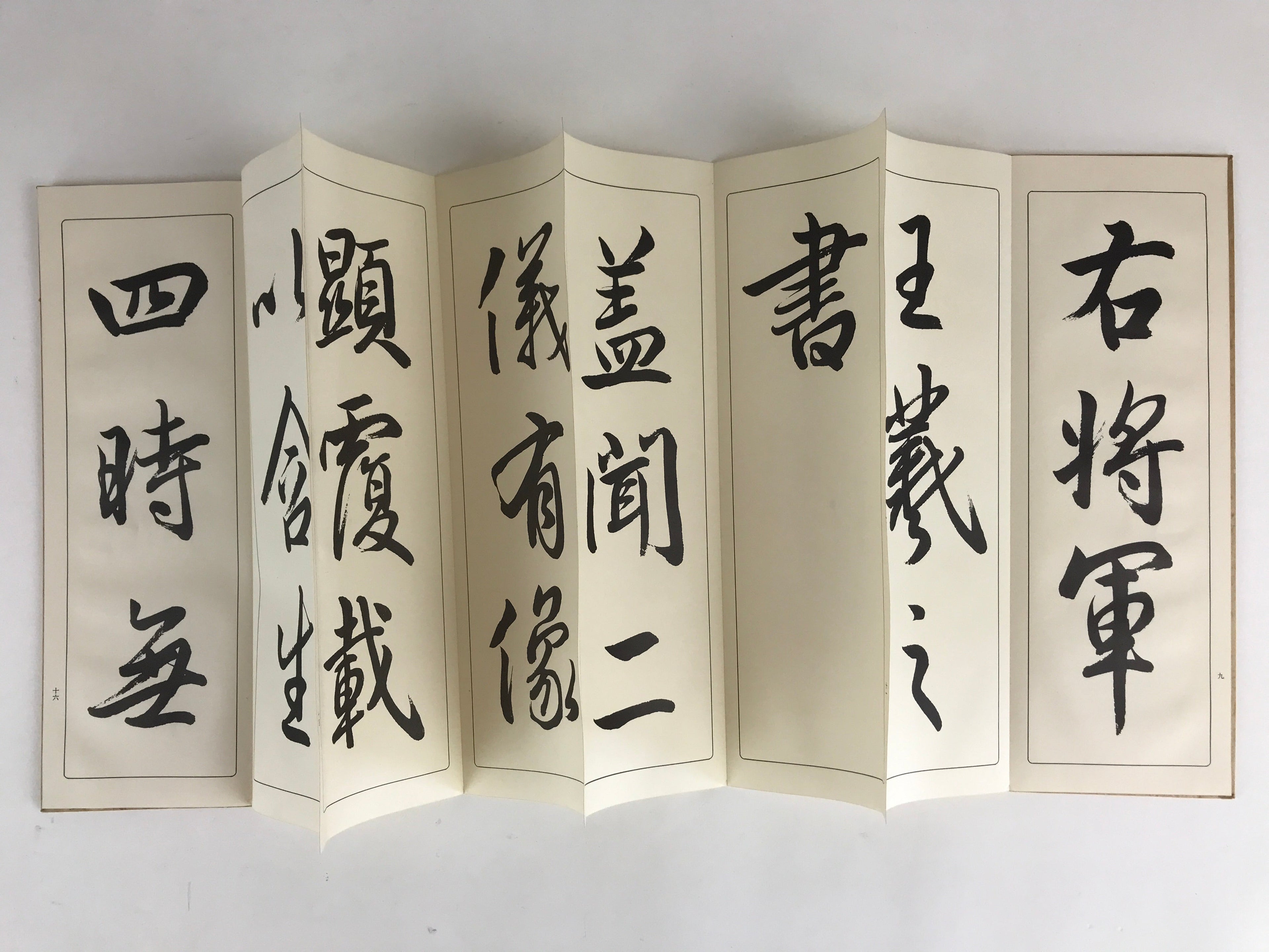 Japanese Calligraphy Reisho Rinsho Daitosanzoshogyojo Vtg Copy Book Tehon P337