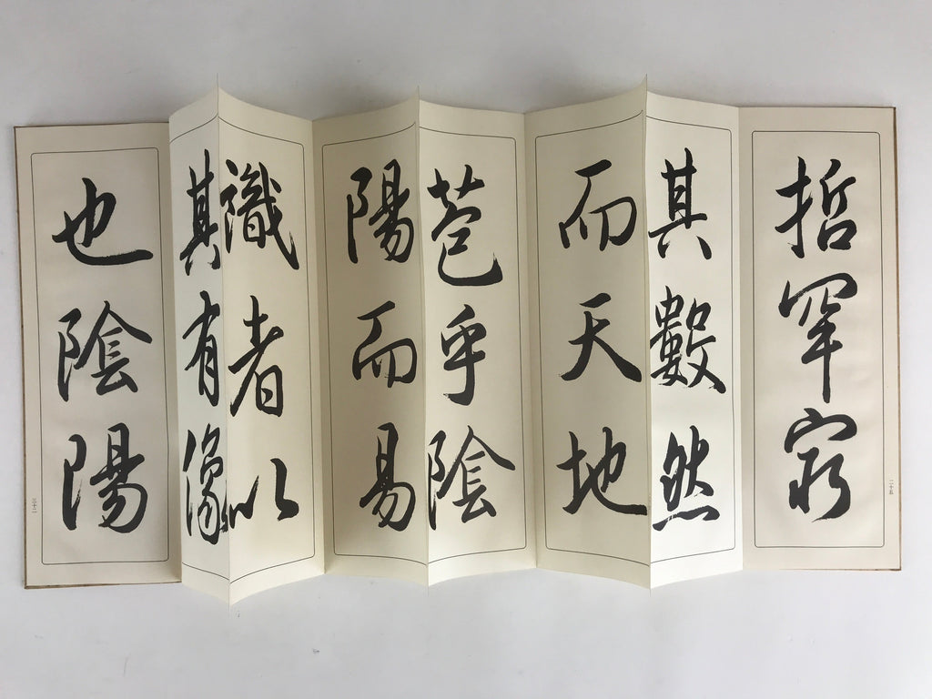 Japanese Calligraphy Reisho Rinsho Daitosanzoshogyojo Vtg Copy Book Tehon P337