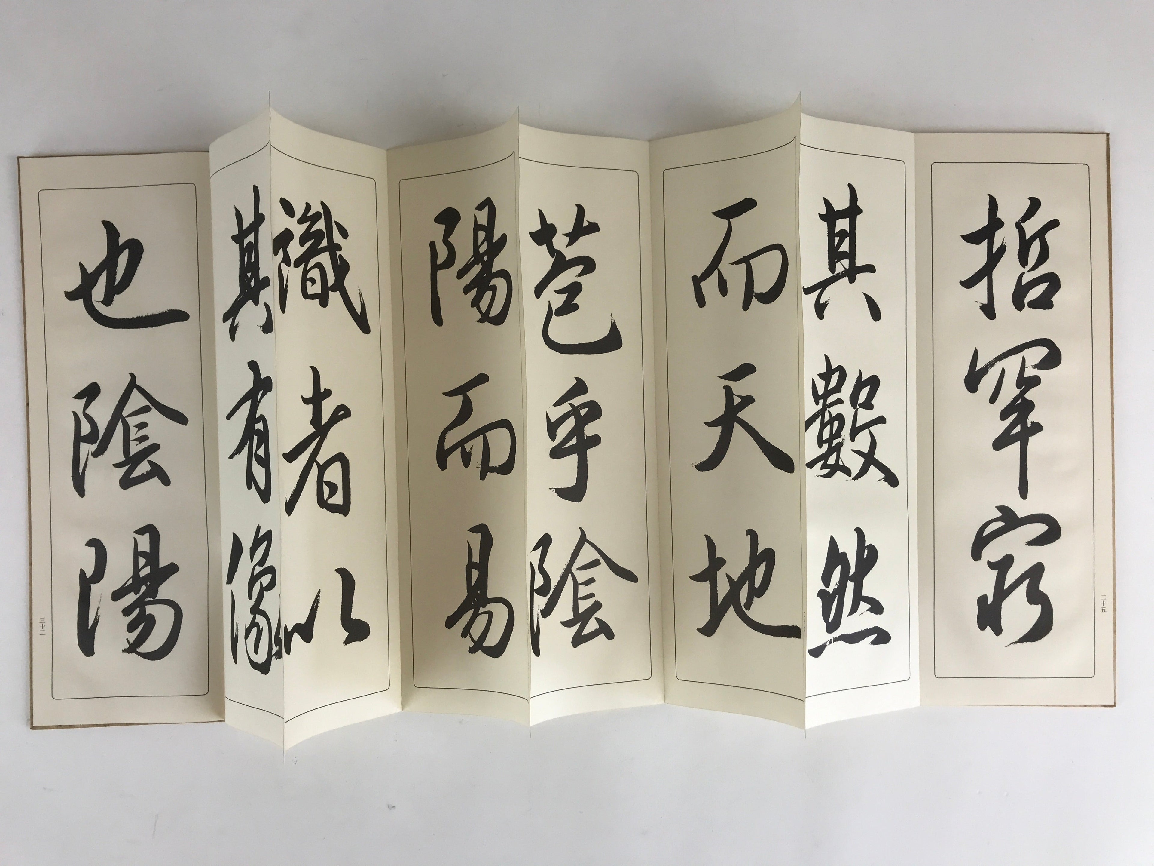 Japanese Calligraphy Reisho Rinsho Daitosanzoshogyojo Vtg Copy Book Tehon P337