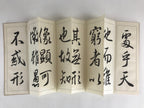 Japanese Calligraphy Reisho Rinsho Daitosanzoshogyojo Vtg Copy Book Tehon P337