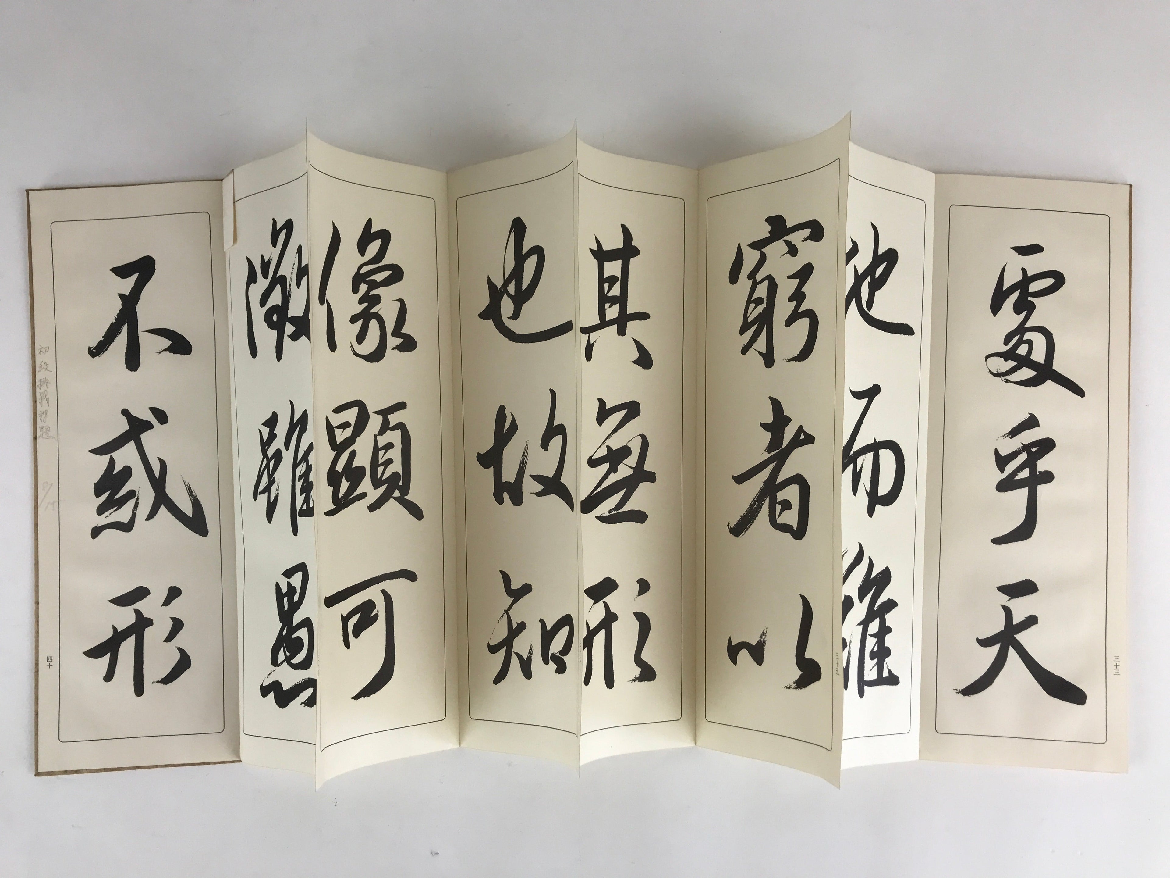 Japanese Calligraphy Reisho Rinsho Daitosanzoshogyojo Vtg Copy Book Tehon P337