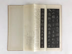 Japanese Calligraphy Reisho Rinsho Daitosanzoshogyojo Vtg Copy Book Tehon P337