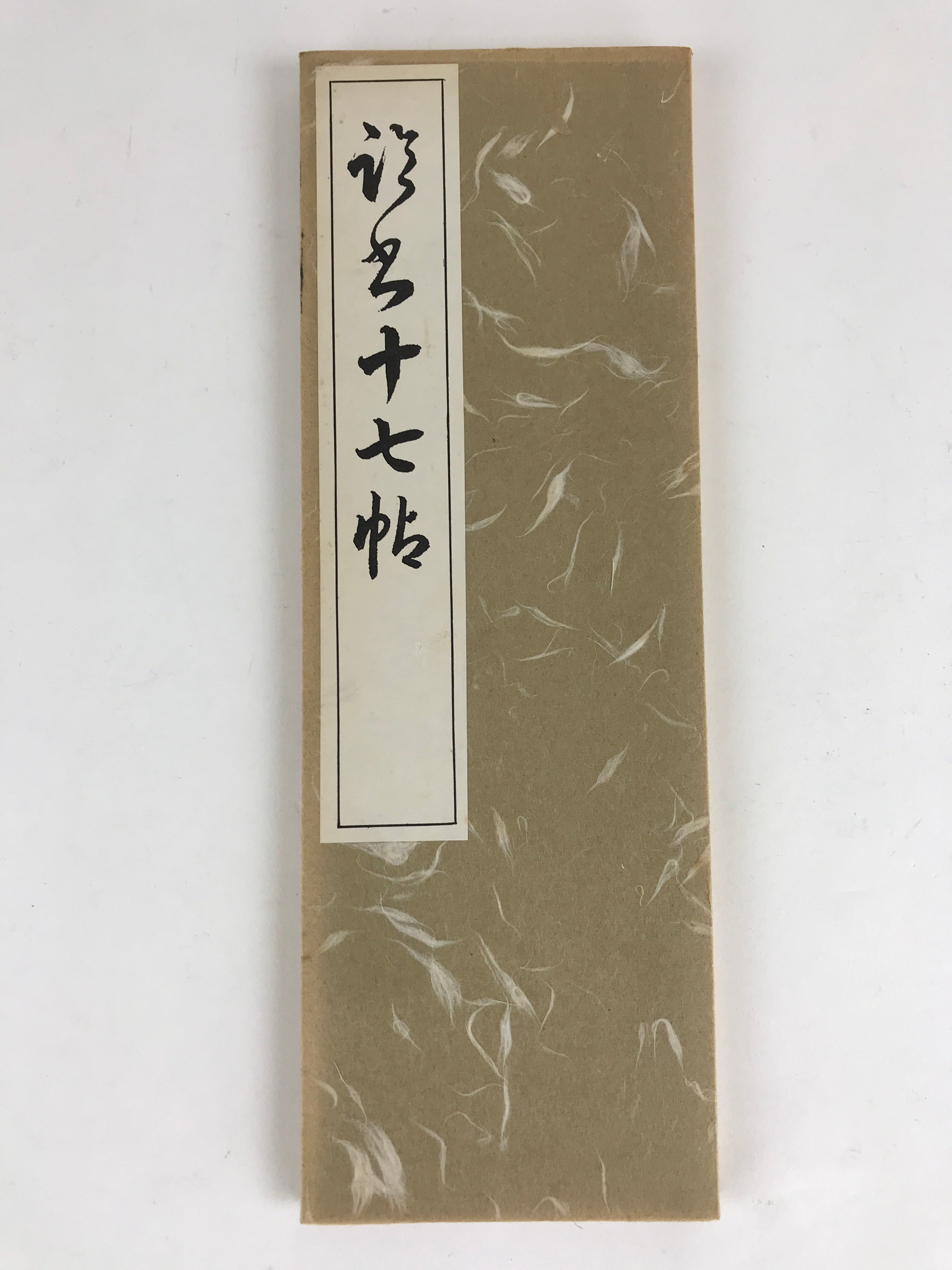 Japanese Calligraphy Reisho Rinsho Ju Nana Jo Vtg Copy Book Tehon Shodo Shuji P3