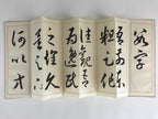 Japanese Calligraphy Reisho Rinsho Ju Nana Jo Vtg Copy Book Tehon Shodo Shuji P3