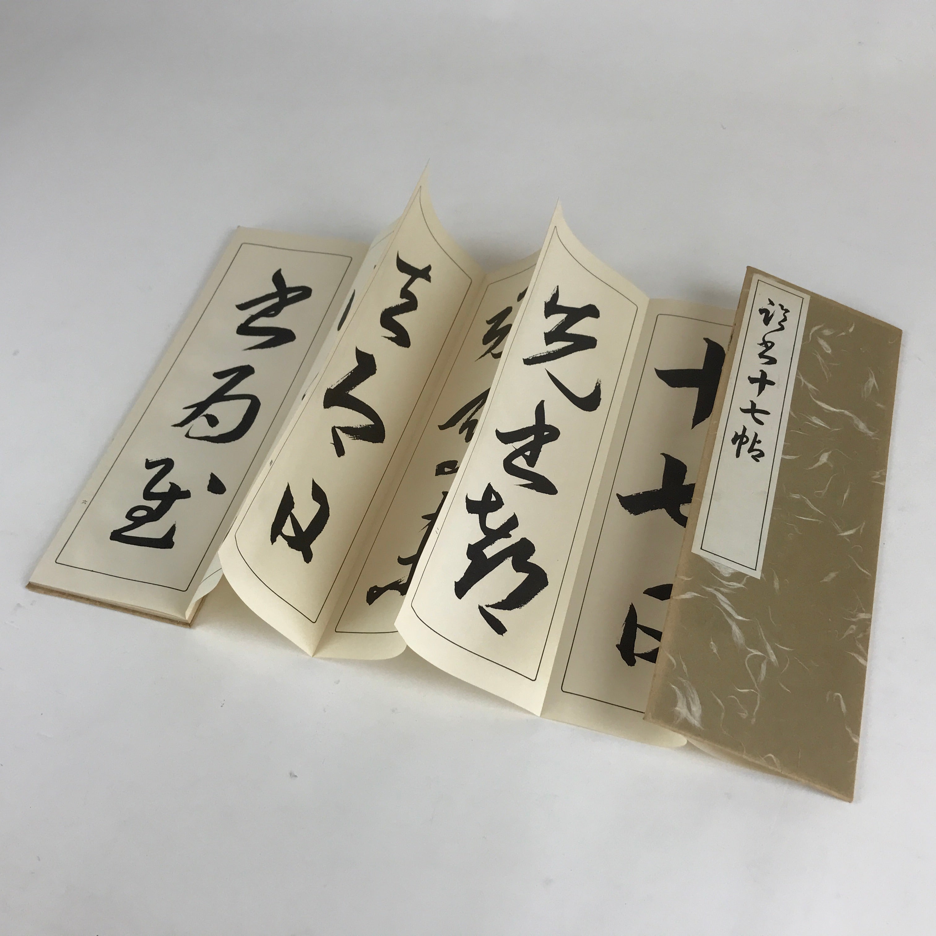 Japanese Calligraphy Reisho Rinsho Ju Nana Jo Vtg Copy Book Tehon Shodo Shuji P3