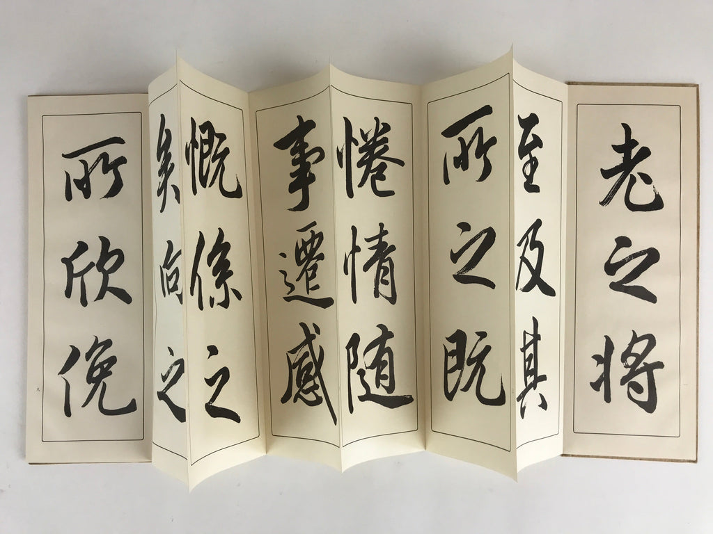 Japanese Calligraphy Reisho Rinsho Ranteijo Ge 2 Volumes Vtg Copy Book Tehon P34