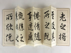 Japanese Calligraphy Reisho Rinsho Ranteijo Ge 2 Volumes Vtg Copy Book Tehon P34