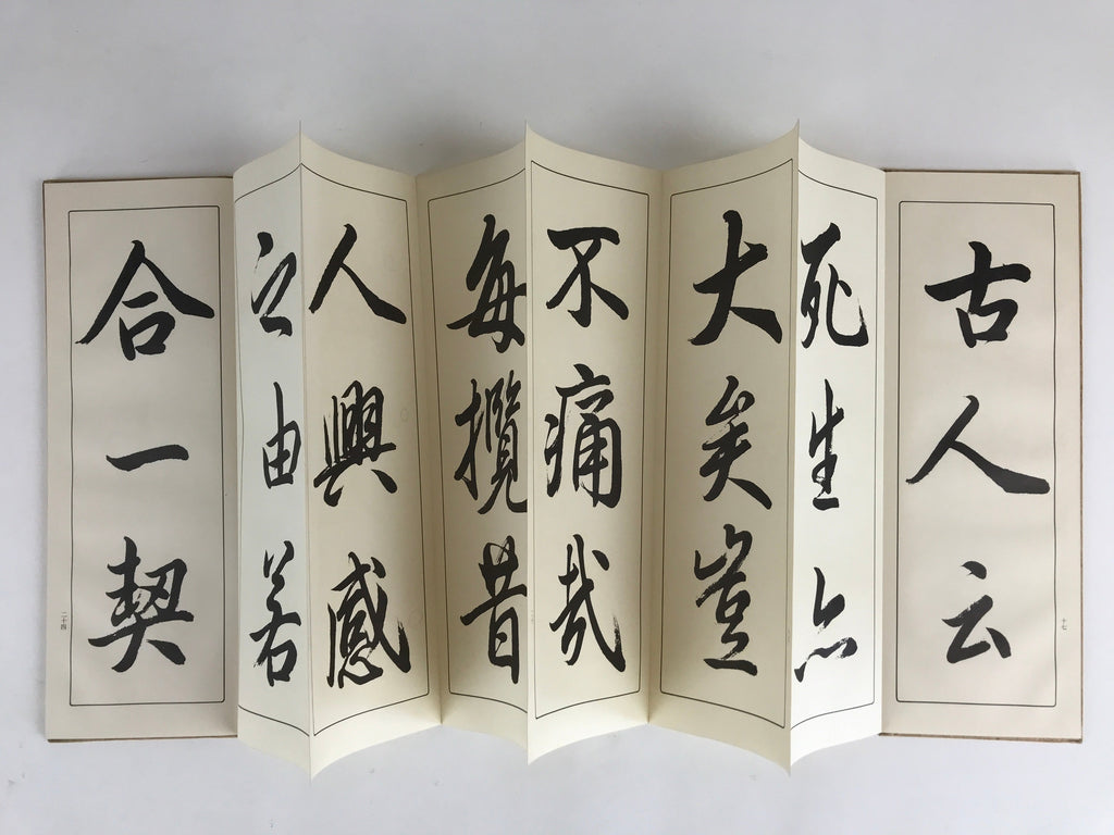 Japanese Calligraphy Reisho Rinsho Ranteijo Ge 2 Volumes Vtg Copy Book Tehon P34