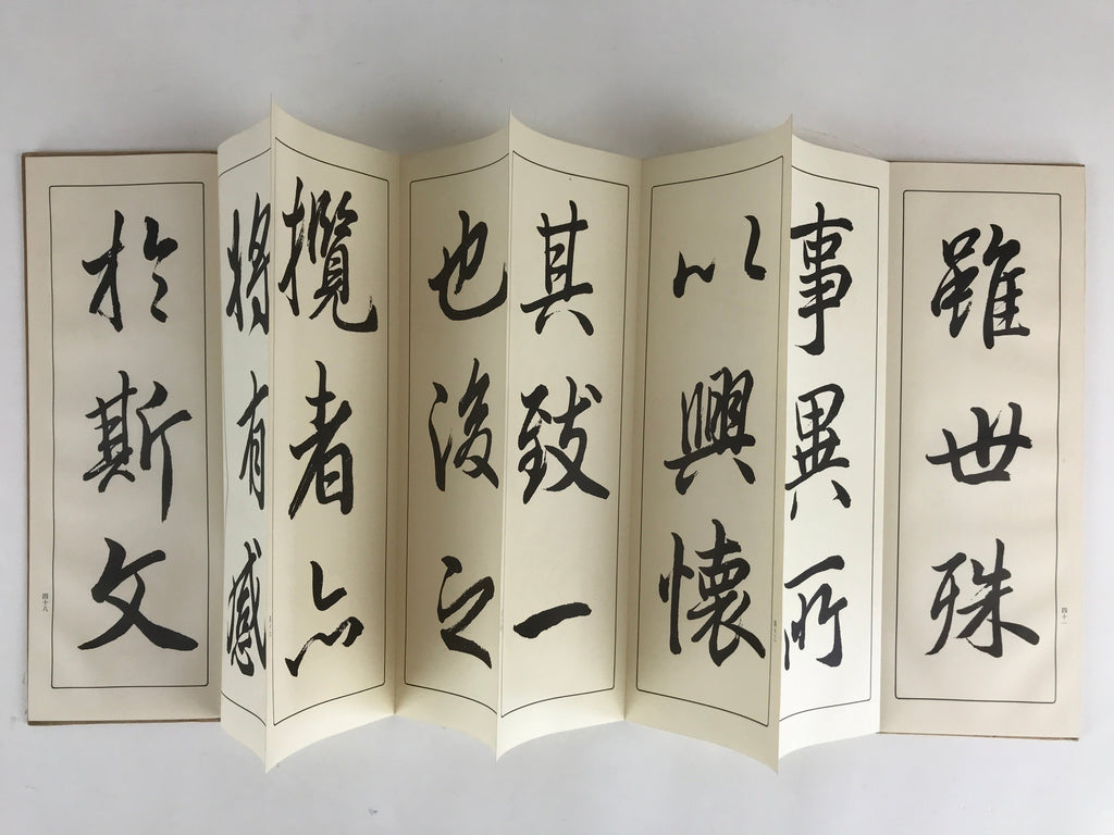 Japanese Calligraphy Reisho Rinsho Ranteijo Ge 2 Volumes Vtg Copy Book Tehon P34