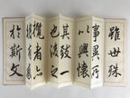 Japanese Calligraphy Reisho Rinsho Ranteijo Ge 2 Volumes Vtg Copy Book Tehon P34