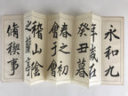 Japanese Calligraphy Reisho Rinsho Ranteijo Jo 1 Volume Vtg Copy Book Tehon P339