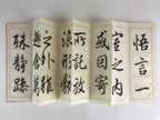 Japanese Calligraphy Reisho Rinsho Ranteijo Jo 1 Volume Vtg Copy Book Tehon P339