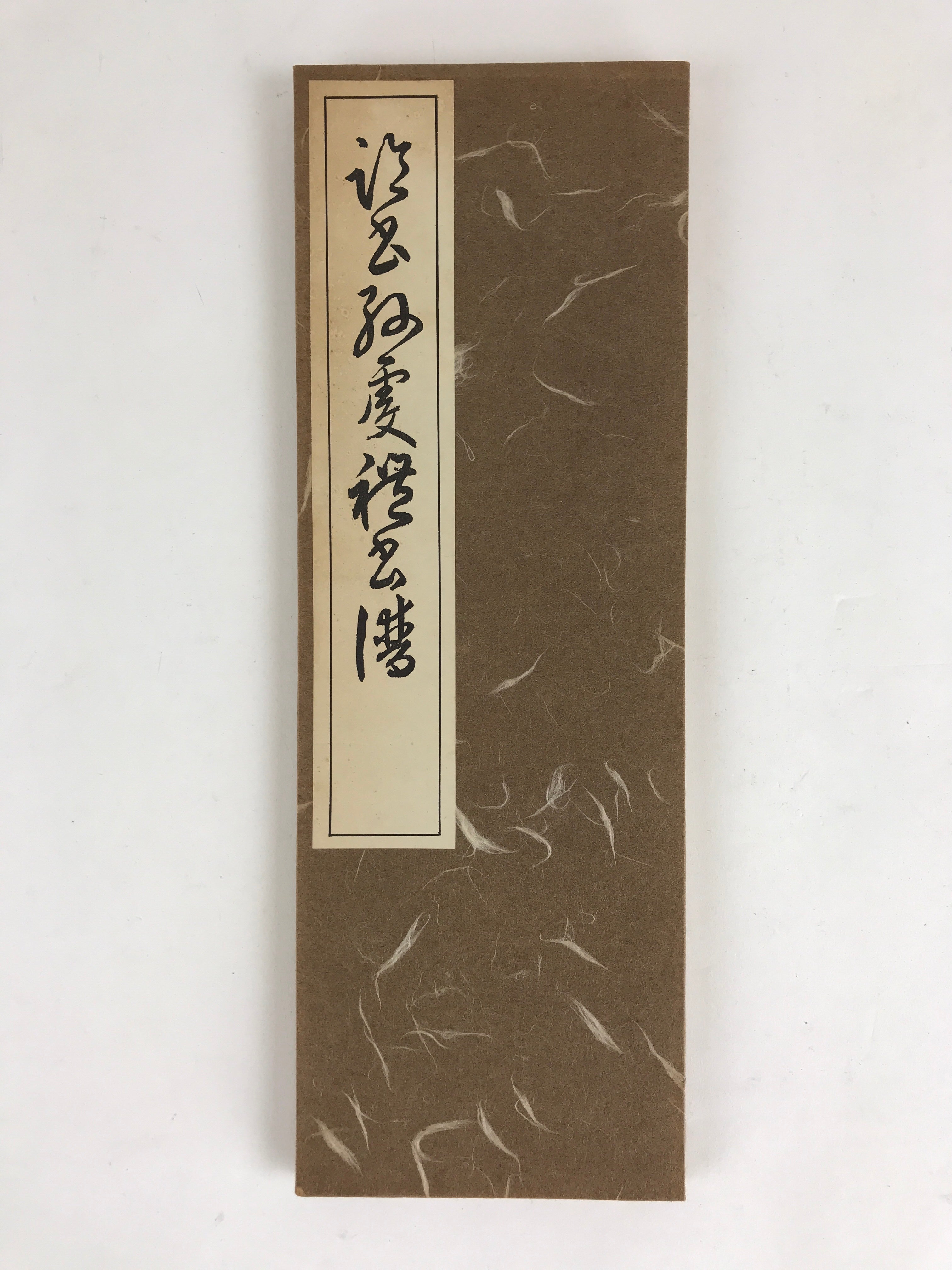 Japanese Calligraphy Reisho Rinsho Son Genrei Shofu Vtg Copy Book Tehon P335