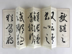 Japanese Calligraphy Reisho Rinsho Son Genrei Shofu Vtg Copy Book Tehon P335