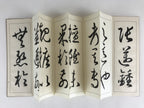 Japanese Calligraphy Reisho Rinsho Son Genrei Shofu Vtg Copy Book Tehon P335