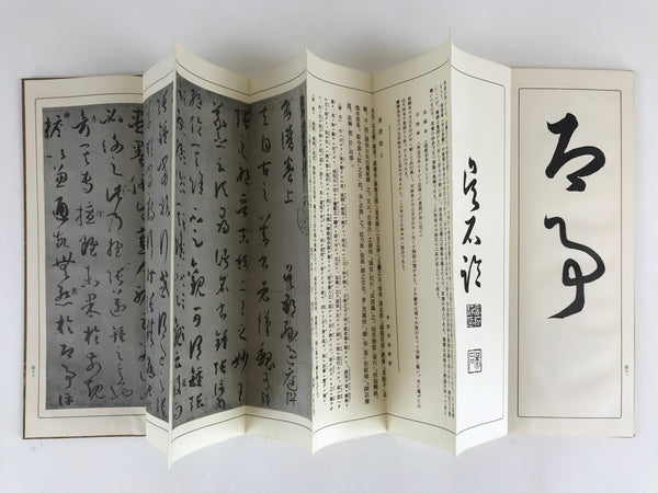 Japanese Calligraphy Reisho Rinsho Son Genrei Shofu Vtg Copy Book Teho, Online Shop