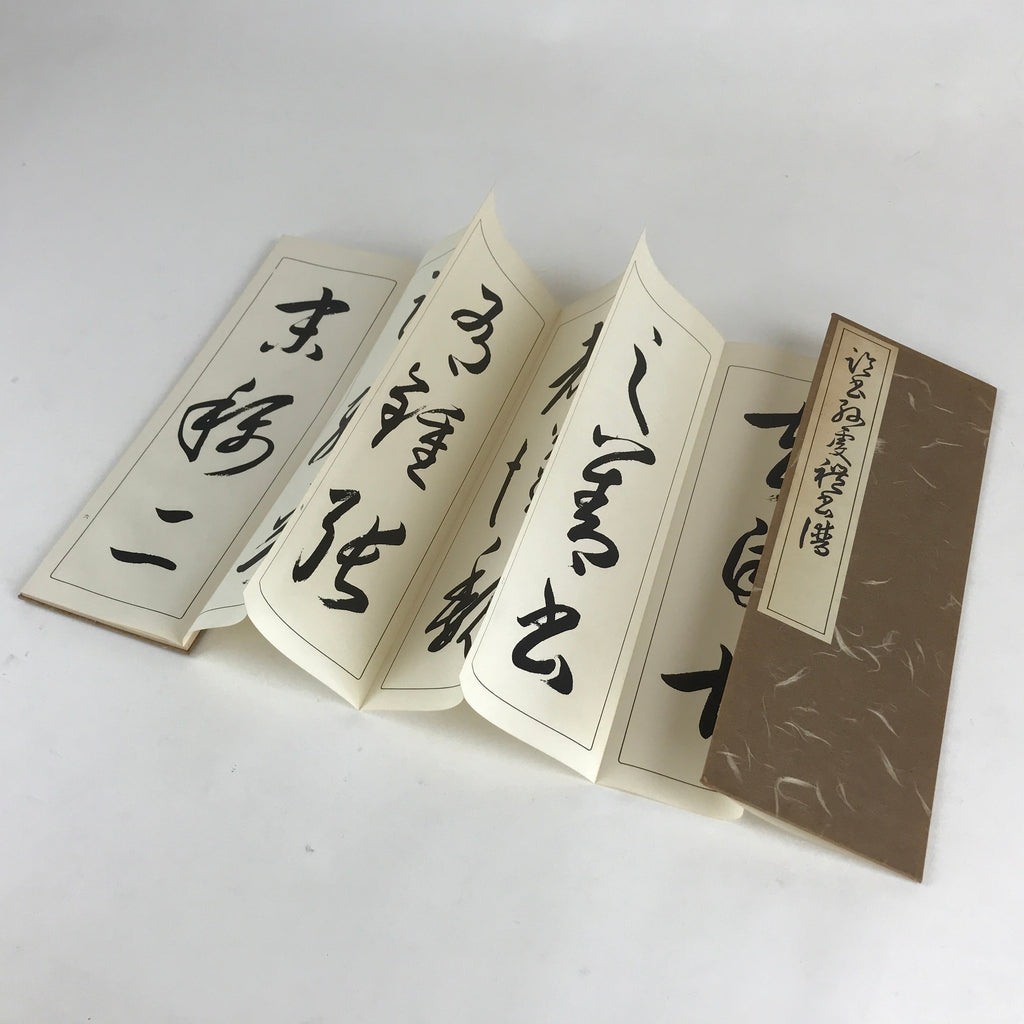 Japanese Calligraphy Reisho Rinsho Son Genrei Shofu Vtg Copy Book Tehon P335