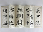 Japanese Calligraphy Reisho Rinsho Soshi Kun Boshi Mei Vtg Copy Book Tehon P336