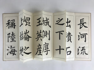 Japanese Calligraphy Reisho Rinsho Soshi Kun Boshi Mei Vtg Copy Book Tehon P336
