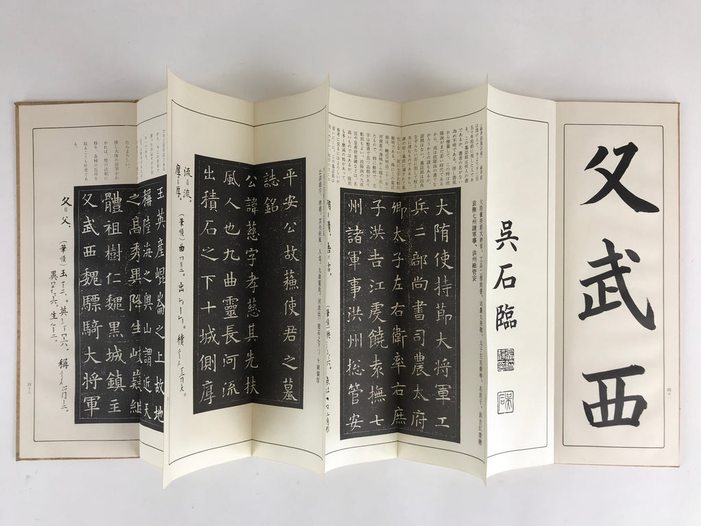 Japanese Calligraphy Reisho Rinsho Soshi Kun Boshi Mei Vtg Copy Book Tehon P336