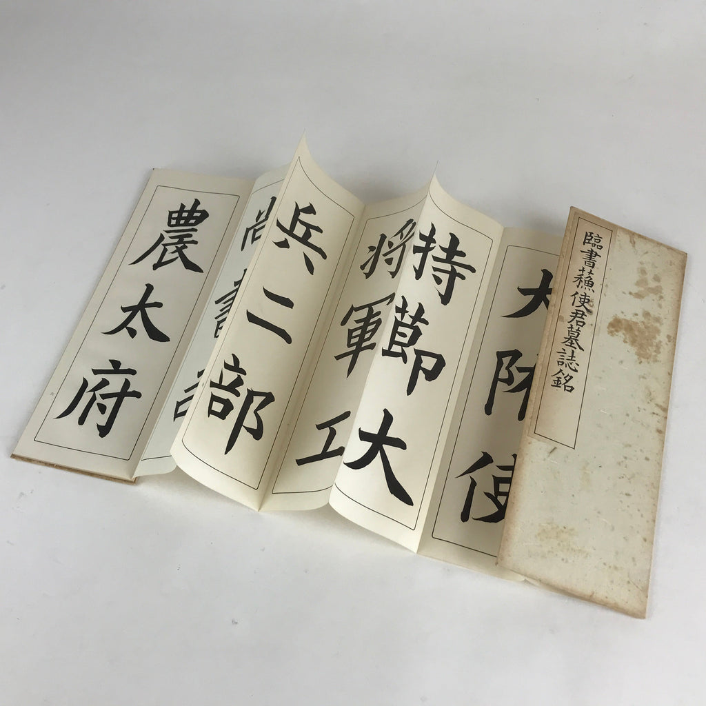 Japanese Calligraphy Reisho Rinsho Soshi Kun Boshi Mei Vtg Copy Book Tehon P336