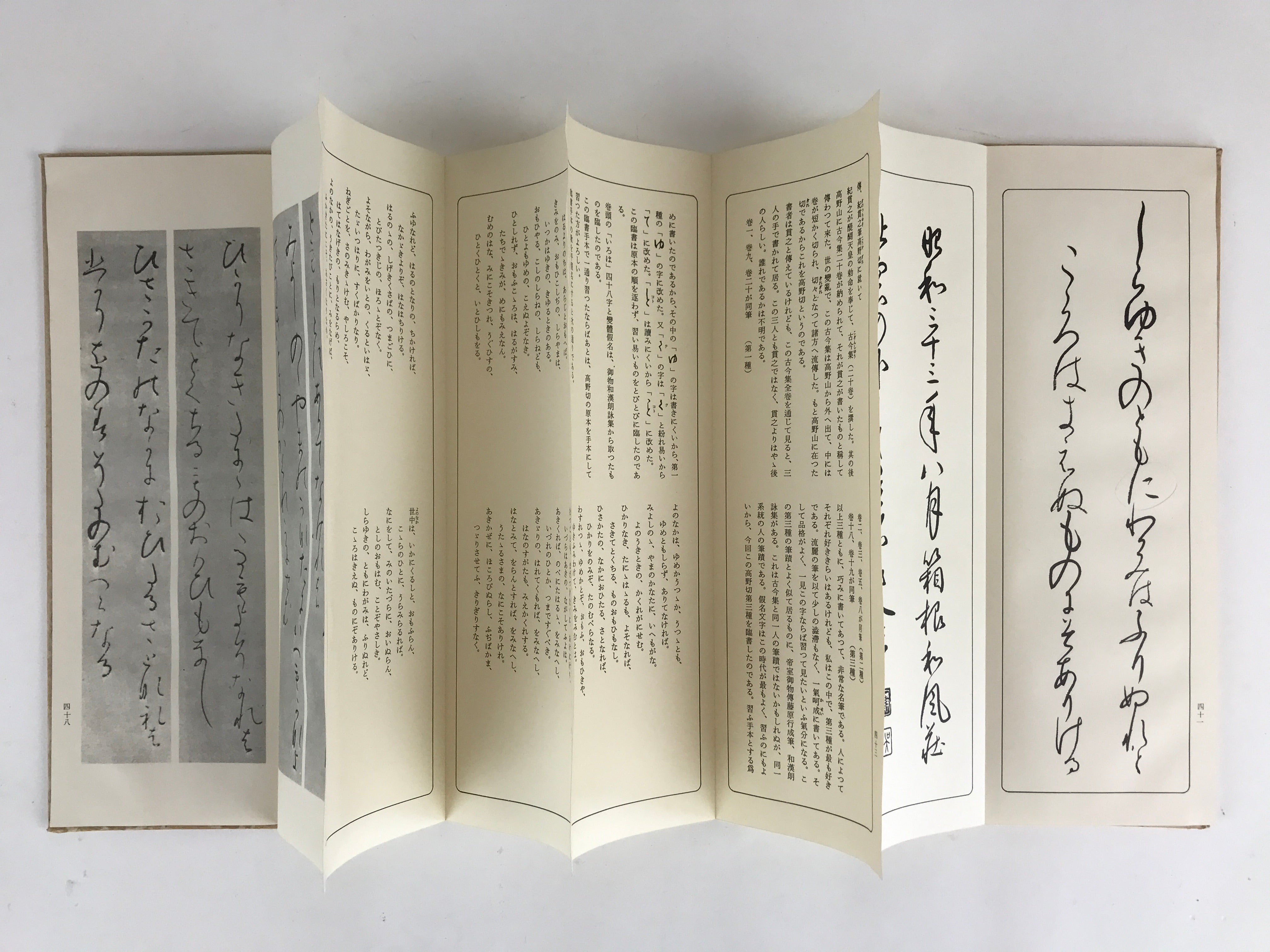 Japanese Calligraphy Reisho Rinsho Takano Kiri 3rd Class Vtg Copy Book Tehon P33