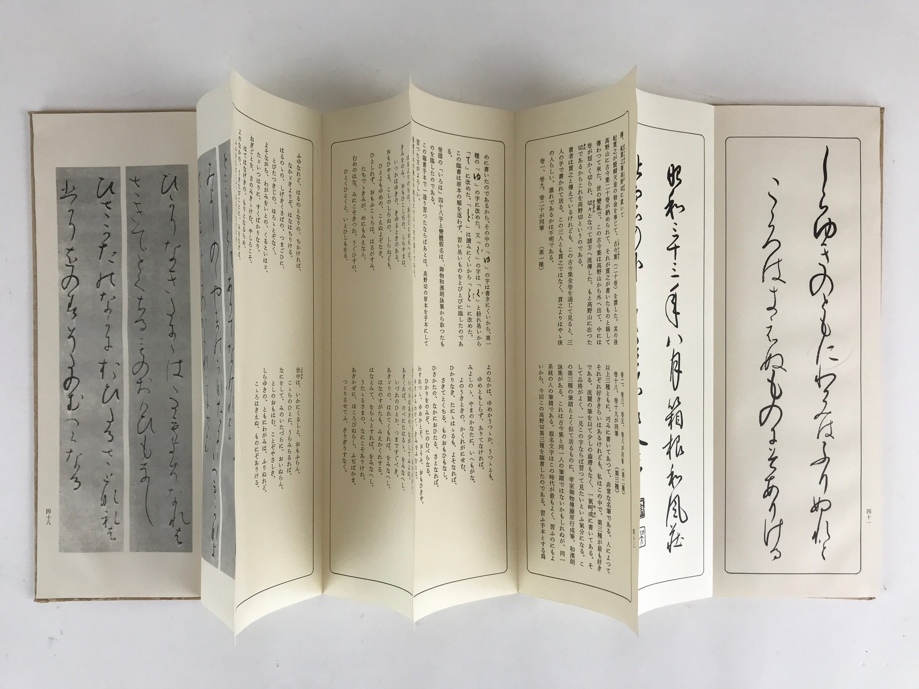 Japanese Calligraphy Reisho Rinsho Takano Kiri 3rd Class Vtg Copy Book Tehon P33