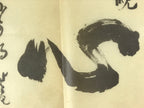 Japanese Calligraphy Reproduction Vtg Kokoro Heart Kanji Chagake Kakejiku FL259